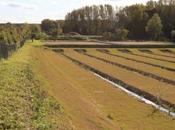 Inauguration station d’épuration lagunage Thézy-Glimont