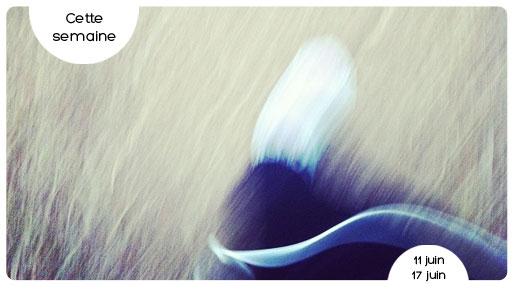 Résumé de la semaine #2