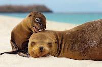 Amour inconditionnel ?