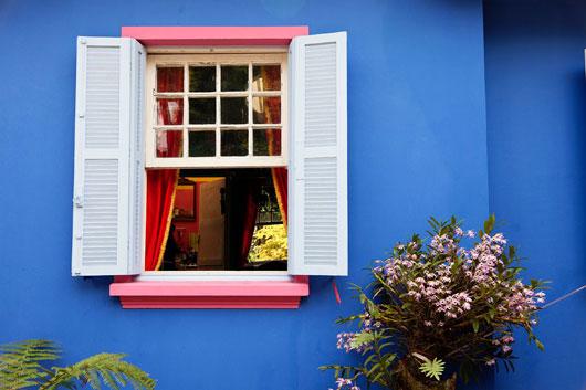 Visite privée: A brazilian colorful home