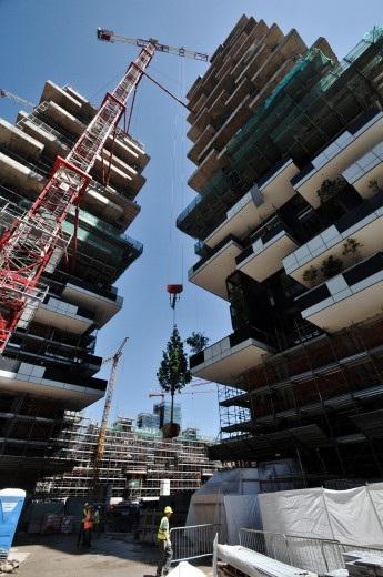 Le Bosco Verticale accueille ses premiers arbres