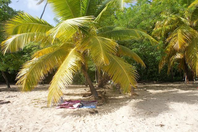 Bienvenue Monsieur l'ETE