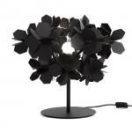 Chaotique ou structuré ?