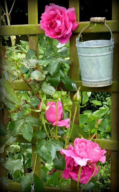 L' été commence avec ...Une vigilance orange !! Va-t...