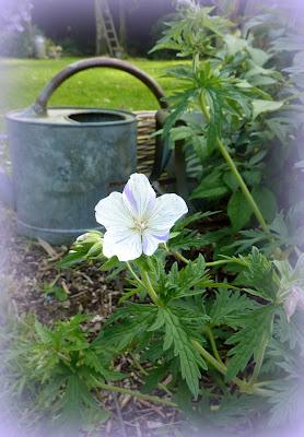 L' été commence avec ...Une vigilance orange !! Va-t...