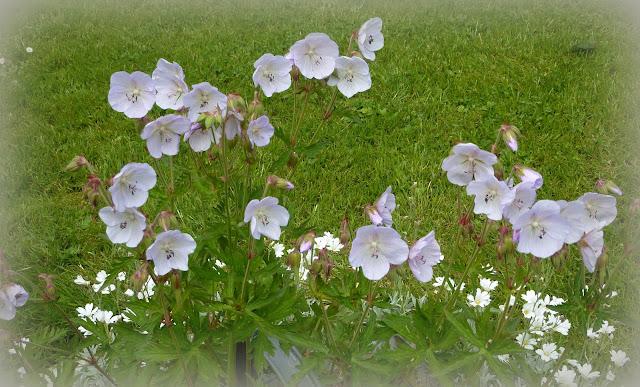 L' été commence avec ...Une vigilance orange !! Va-t...