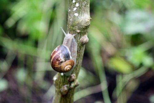 9 zantho sim romi 13 juin 2012 001 (65).jpg