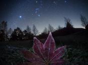 Poésie ciel Masahiro Miyasaka