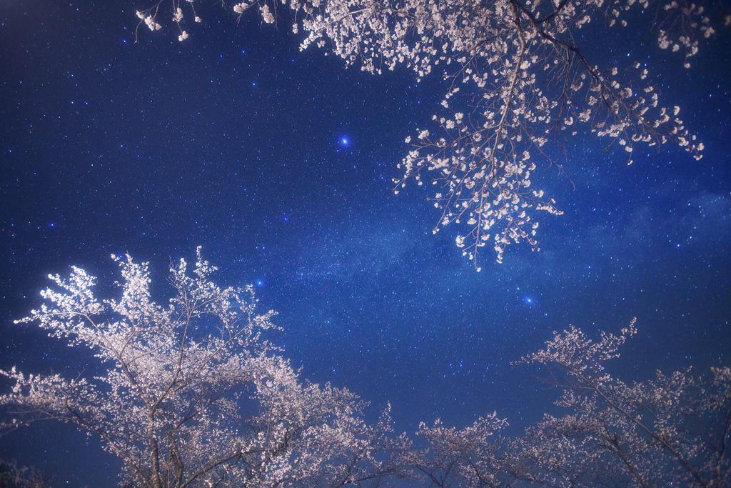 Poésie du ciel par Masahiro Miyasaka