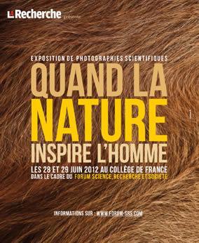 Quand la Nature inspire l'Homme