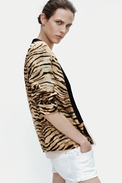 Crazy about Zara New Collection