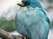 gazouillis empoisonné