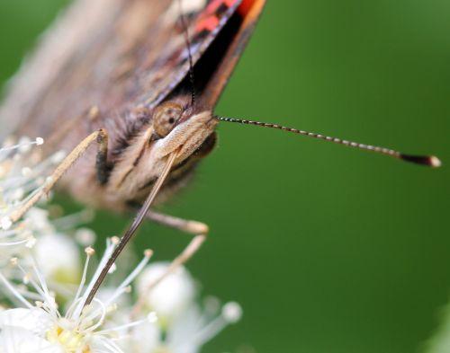 10 vulcain romi 22 juin 2012 075.jpg