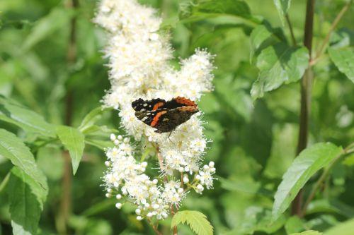 3 vulcain romi 22 juin 2012 068.jpg