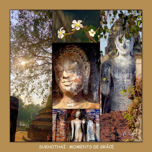 Les phytospirituels mandalas d'Orelys