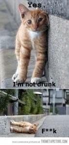 Humeur moqueuse, c’est bon d’en rire !