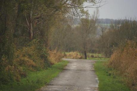 Le Voyage a Nantes /canal de la Martinière Le Voyage a Nantes /canal de la Martinière