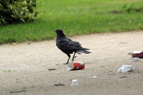paris 23 juin 2012 087.jpg