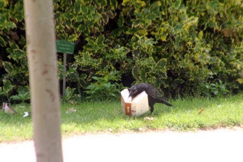 paris 23 juin 2012 109.jpg