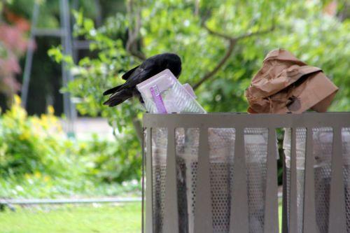 paris 23 juin 2012 096.jpg