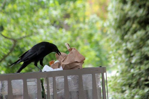 paris 23 juin 2012 084.jpg