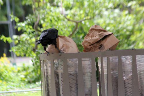 paris 23 juin 2012 092.jpg