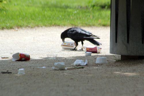 paris 23 juin 2012 105.jpg