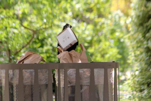 paris 23 juin 2012 102.jpg