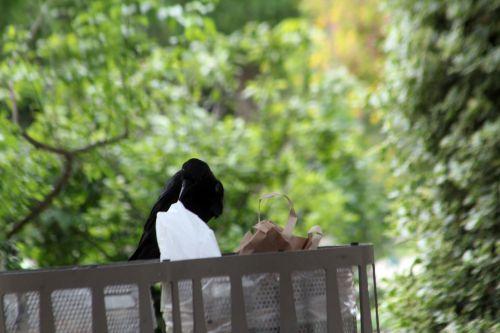 paris 23 juin 2012 081.jpg