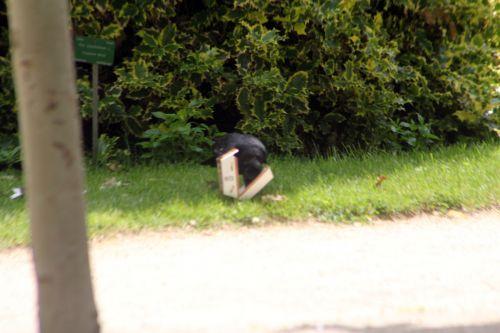 paris 23 juin 2012 110.jpg