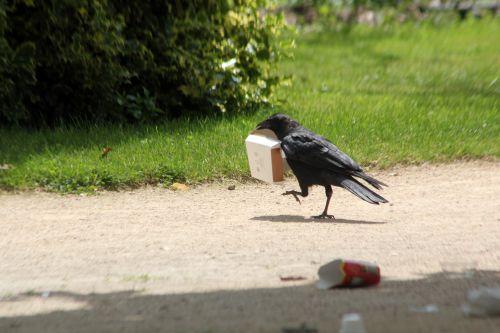 paris 23 juin 2012 108.jpg