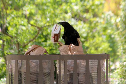 paris 23 juin 2012 103.jpg