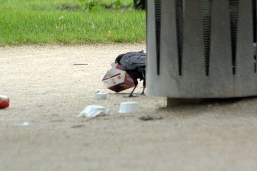 paris 23 juin 2012 086.jpg