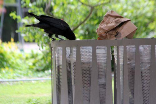 paris 23 juin 2012 091.jpg