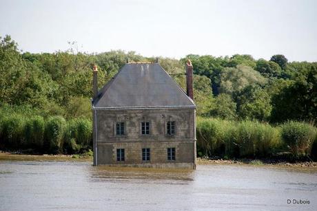 La Maison dans la Loire / Le voyage a Nantes