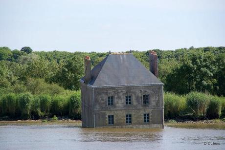 La Maison dans la Loire / Le voyage a Nantes