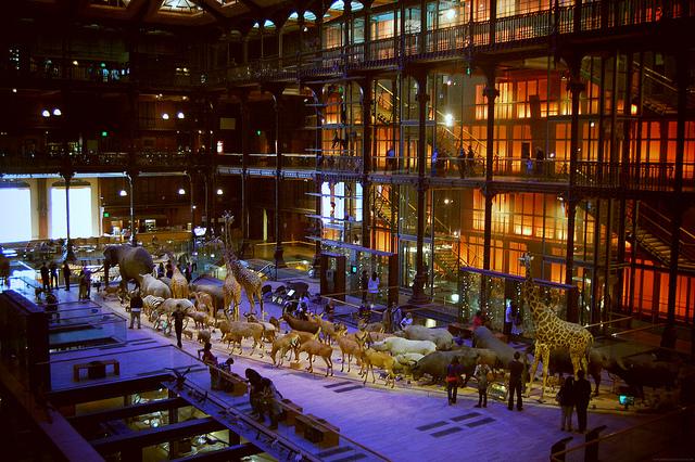 DSC_0625.JPG_effected