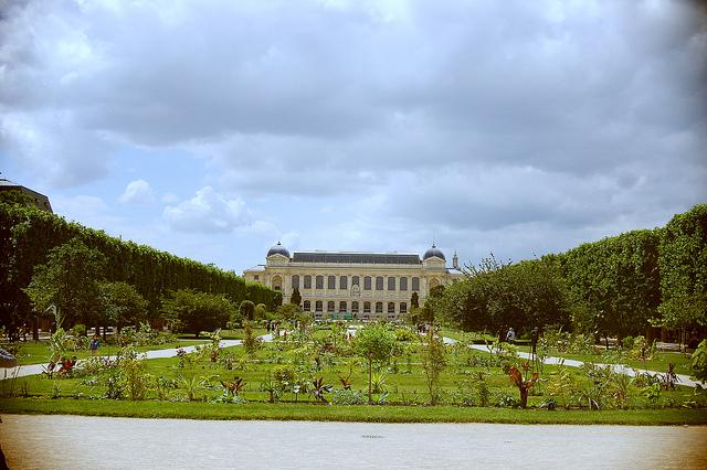 DSC_0566.JPG_effected