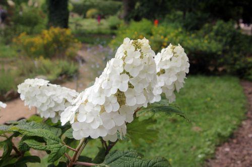 paris 23 juin 2012 304.jpg