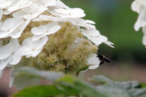 paris 23 juin 2012 309.jpg