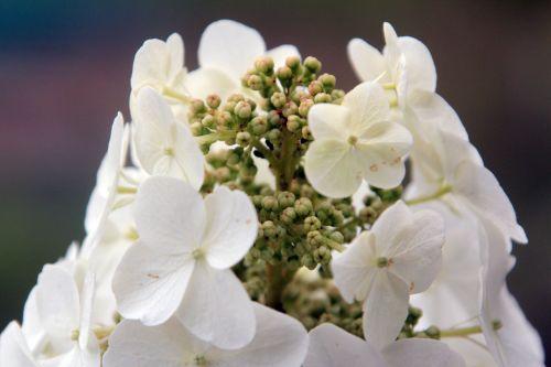 paris 23 juin 2012 306.jpg