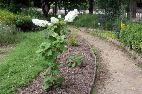 paris 23 juin 2012 301.jpg