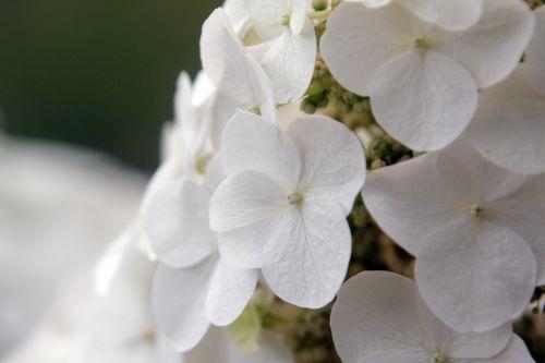 paris 23 juin 2012 305.jpg