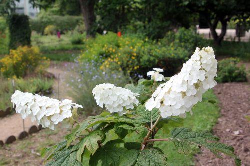 paris 23 juin 2012 303.jpg