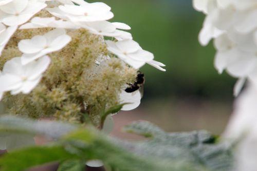 paris 23 juin 2012 313.jpg