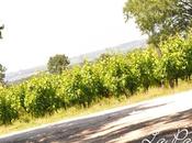 dimanche château Caillivet