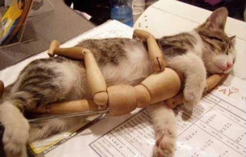 223770 239926726038744 6758656 n