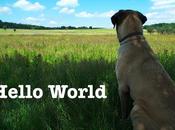 Phonto, écrire photos iPhone...