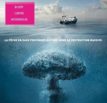 Intermarché épinglé pour publicité mensongère et greenwashing