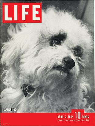 Life magazine